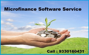 Best Online Microfinance Software
